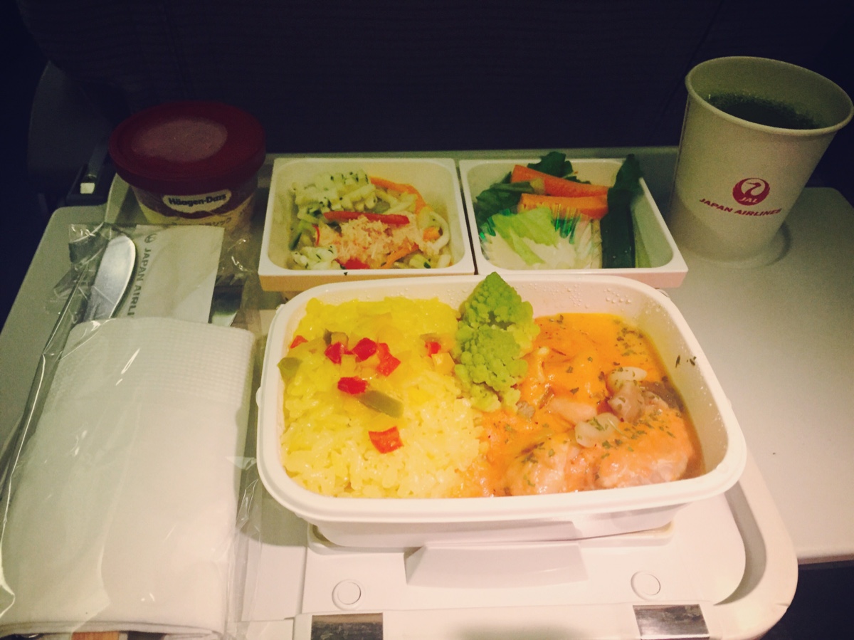 5.9 日航飞机餐 鸡肉咖喱饭