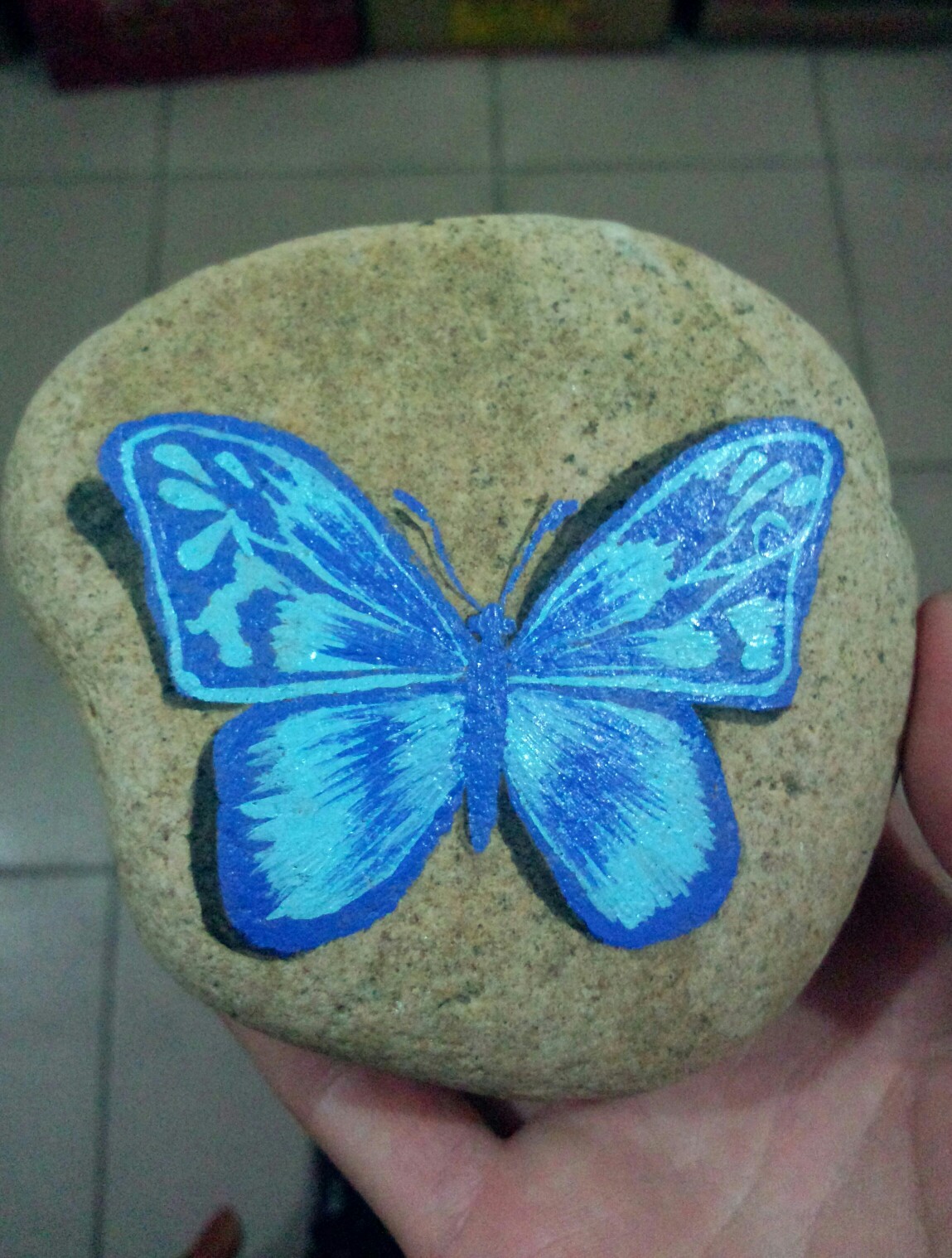 蝴蝶,石头画图片