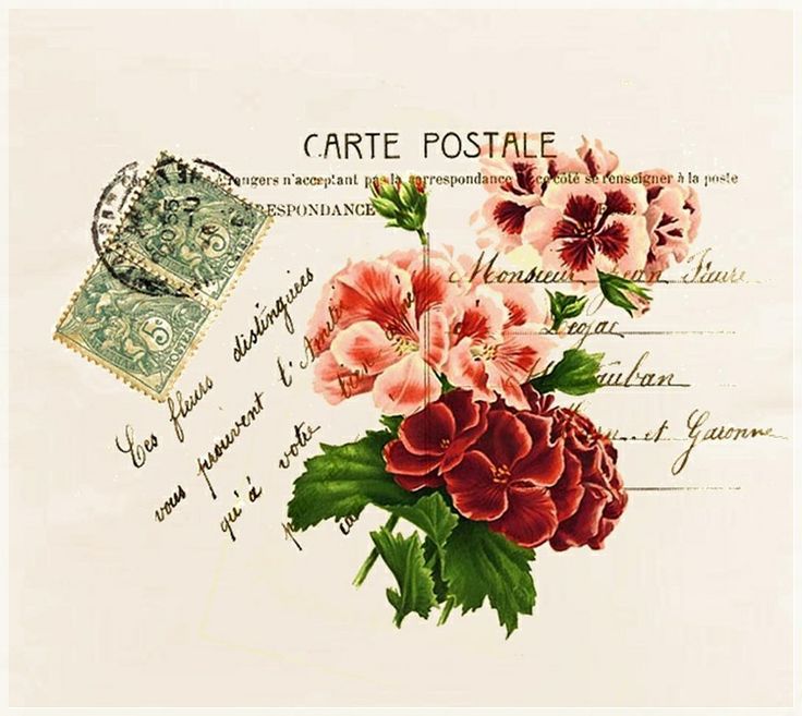 收集一些自己喜欢的图片,打印出来,diy漂亮贴纸,卡片,装饰贴