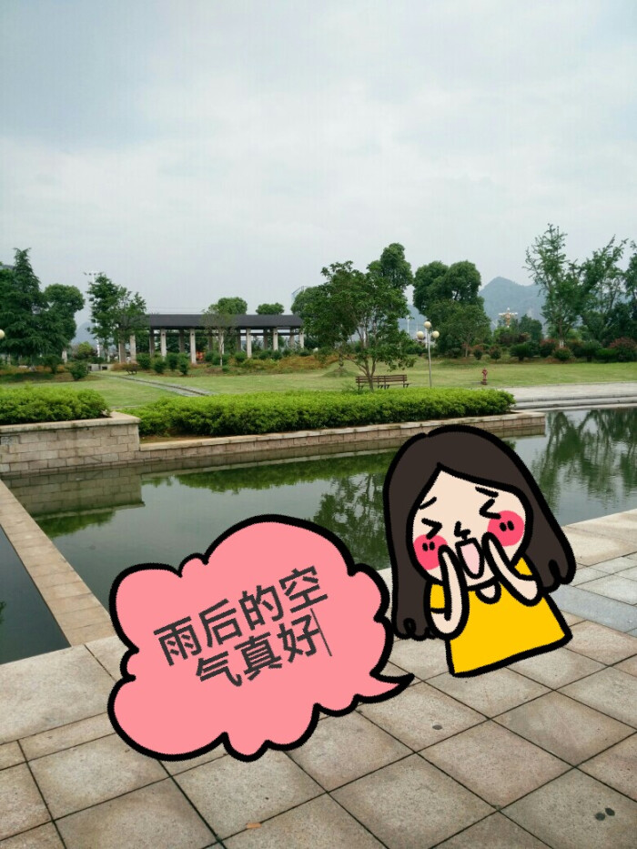 心情不好的时候,出去走走,但是下雨了,雨停之后,意外发现空气是如此的
