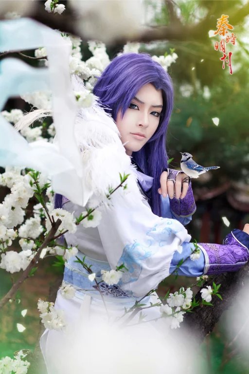 cn:明小矾 帅瞎 cos秦时明月:白凤.