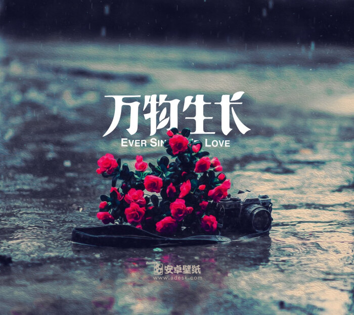 安卓壁纸 万物生长