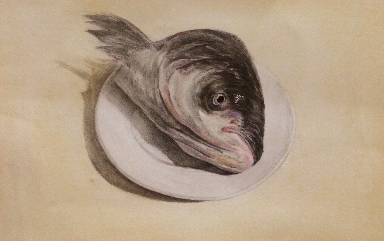 鱼头,彩铅素描