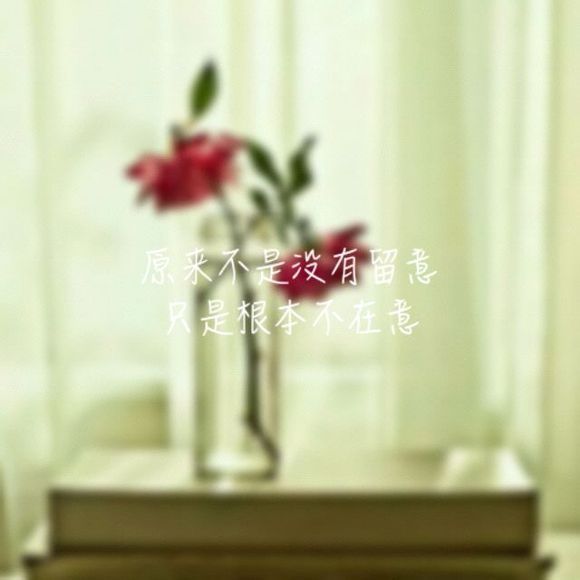 【头像 背景 小清新♀】最好的感觉是,有人懂你的欲言又止.~zz