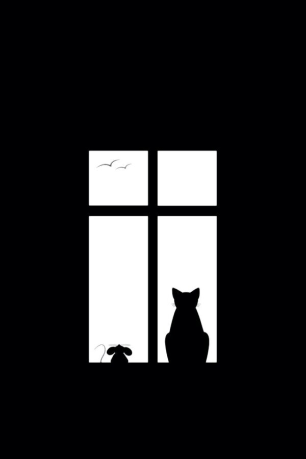 猫和老鼠 黑白