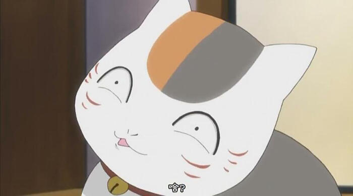 猫咪老师 表情 (⊙o⊙)啥?