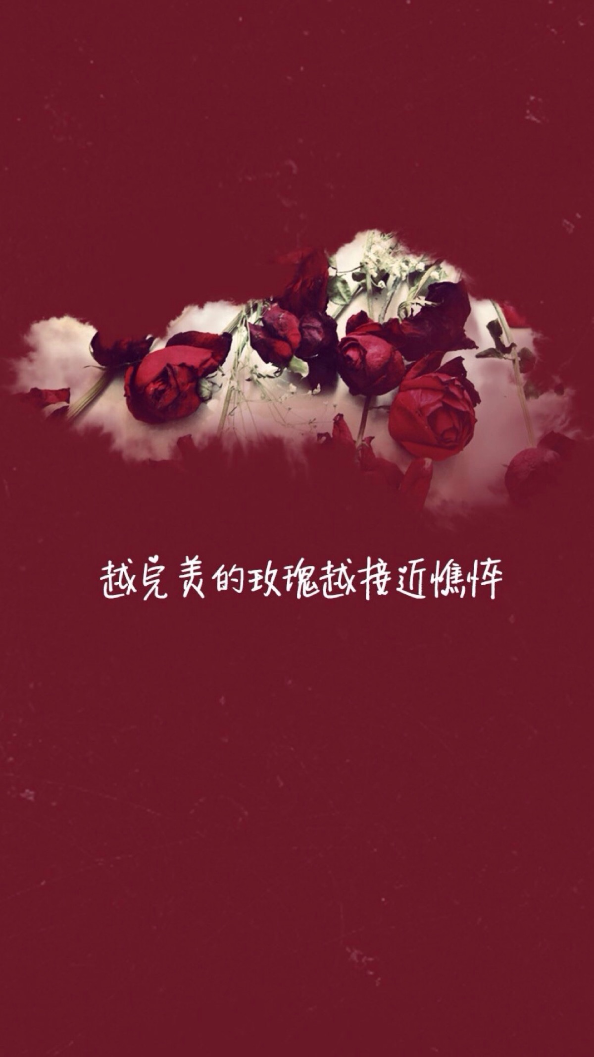 关于爱情 文字壁纸 高清壁纸 iphone壁纸/欣勾勾