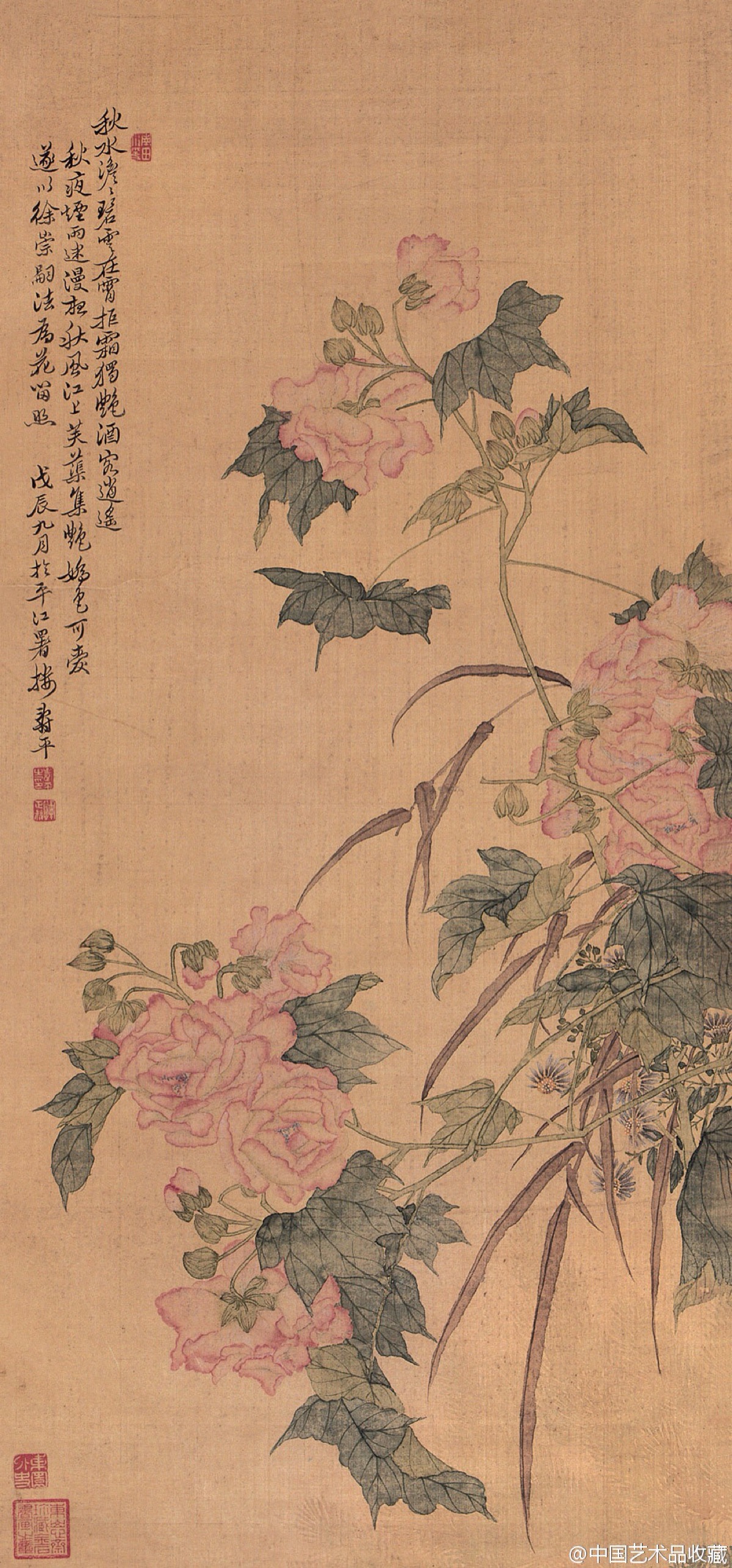 【清 恽寿平 《姚黄魏紫》 】恽寿平的花卉,多为没骨画法,很少勾勒,以