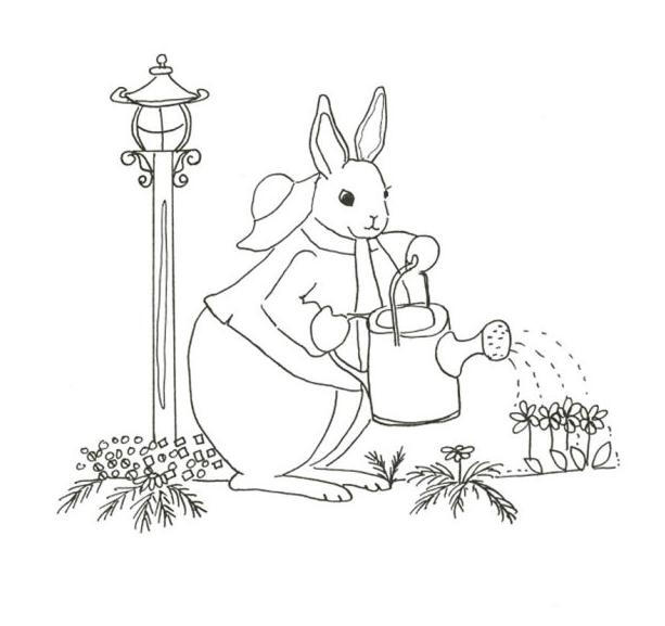 小兔彼得简笔画图片
