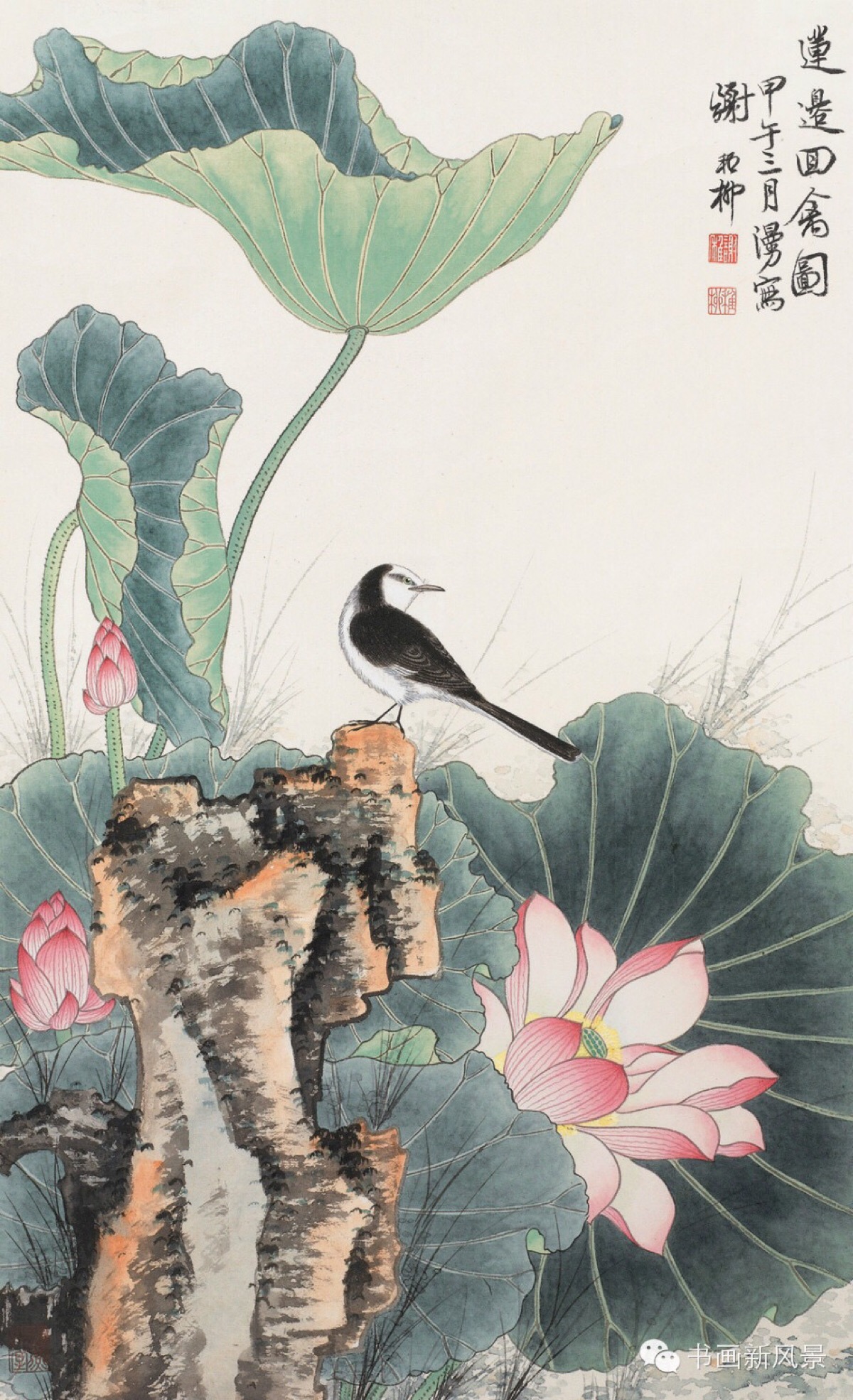 谢稚柳笔下那些最养眼的花鸟!