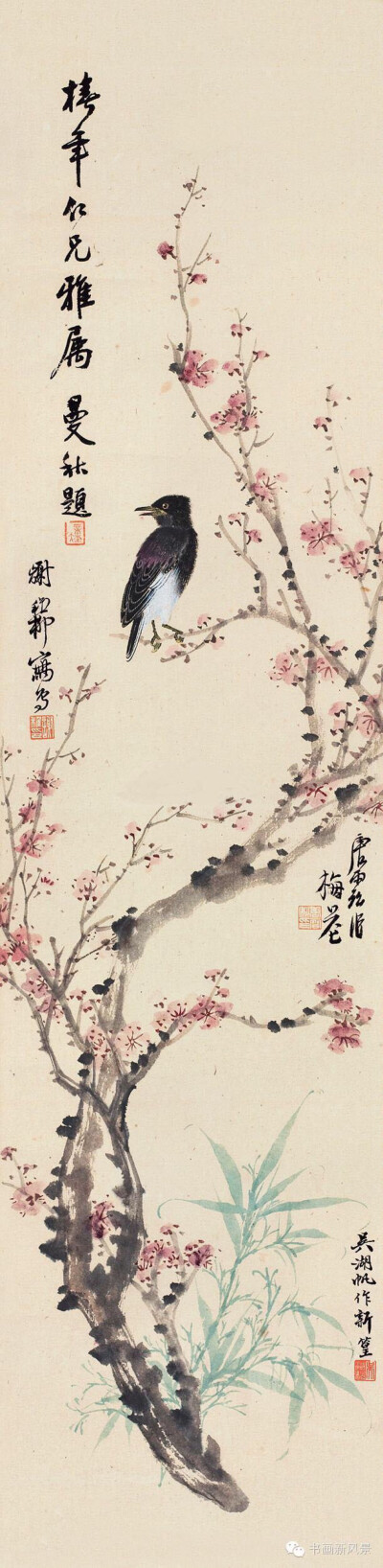 谢稚柳笔下那些最养眼的花鸟!