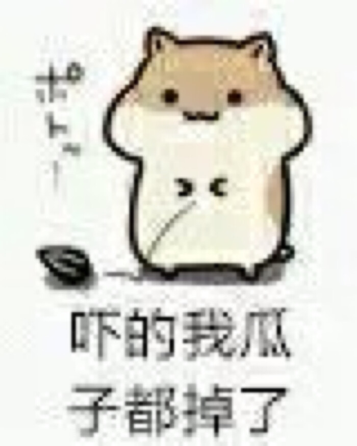 下的我瓜子都掉了 表情 我很傻别吓我