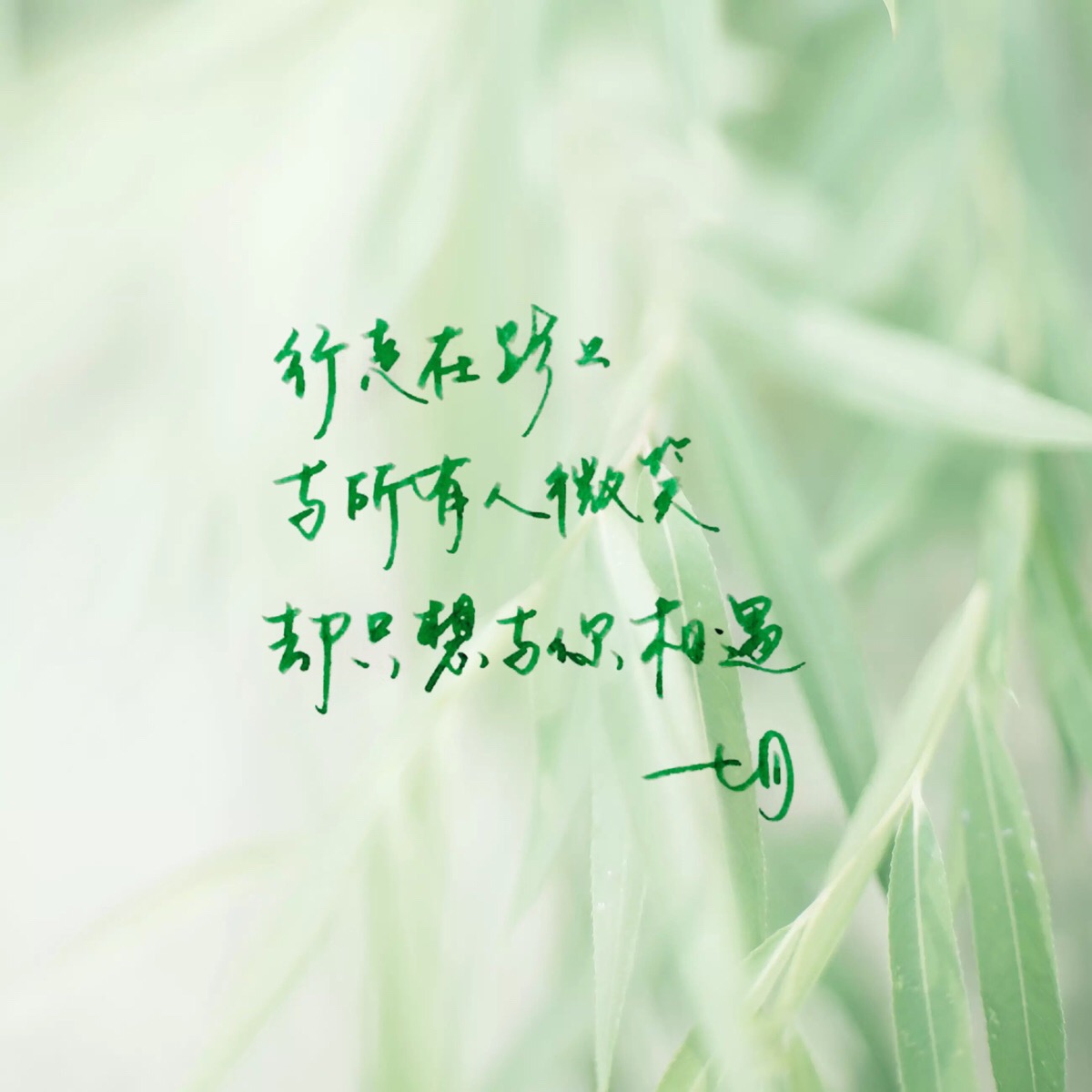 手写 明信片 高清 暖心语录 练字 书法 唯美 意境 文艺 文字 句子