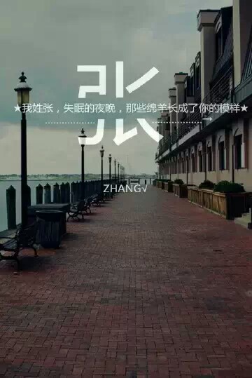 我姓张 