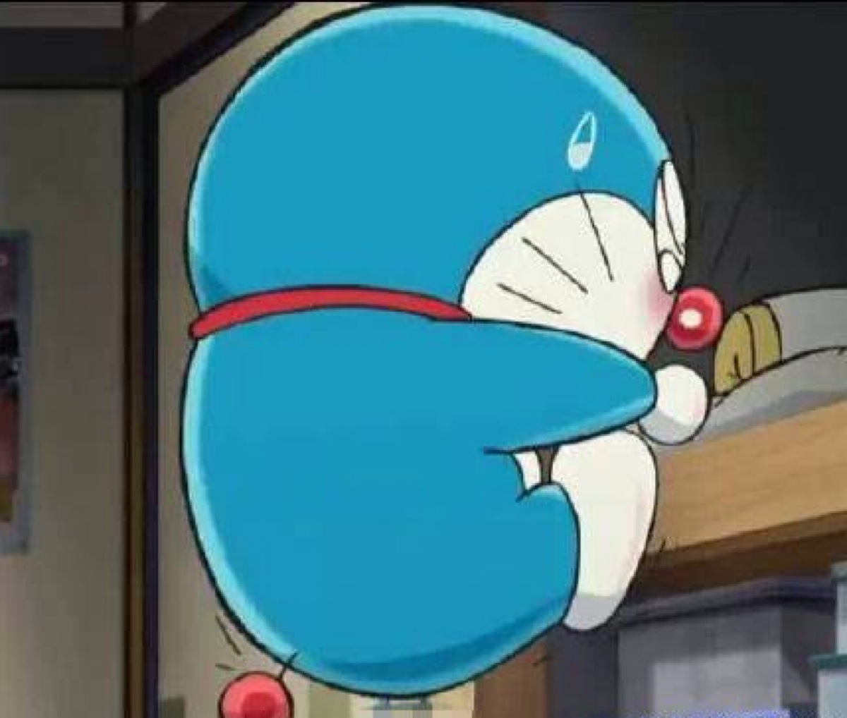 小短腿 