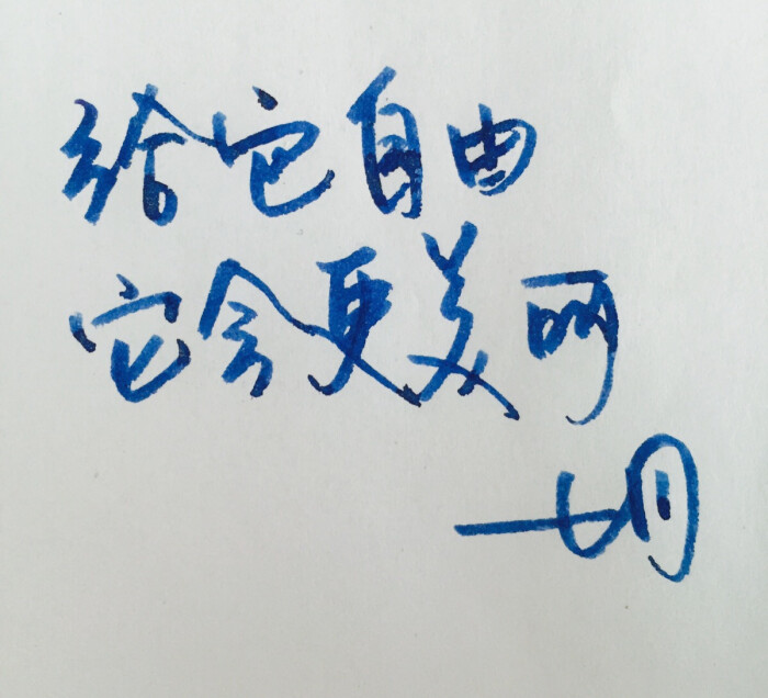 手写 明信片 高清 暖心语录 练字 书法 唯美 意境 文艺 文字 句子