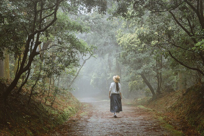 enchanted forest by cangmin on flickr.