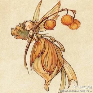 花仙子 精灵