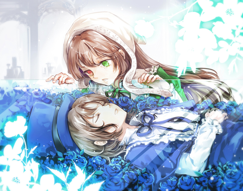 pixiv p站 二次元 动漫 蔷薇少女 双子【画师:d.m】