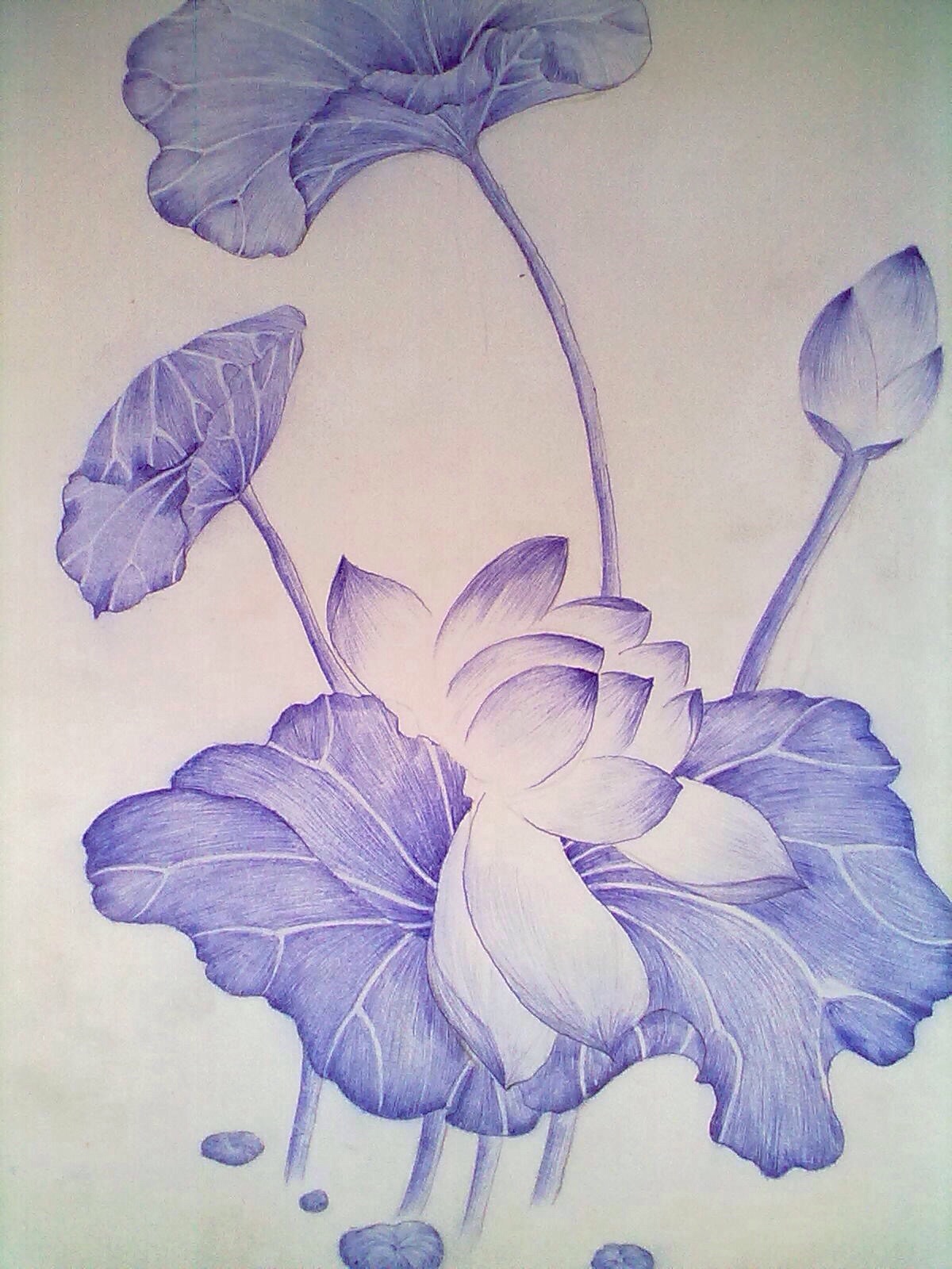 圆珠笔画 太神奇了 圆珠笔也可以让我这么震撼,真的是奇迹啊