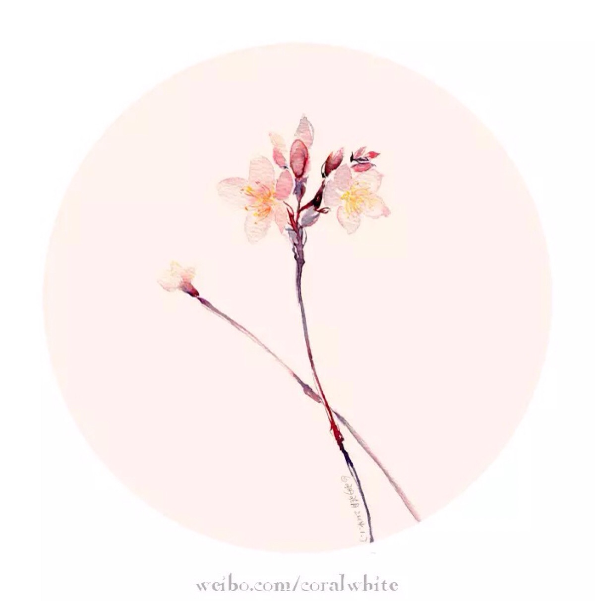 古风 古韵 水彩 花卉 花间 插画 转自网络侵删致歉 【国风雅韵】