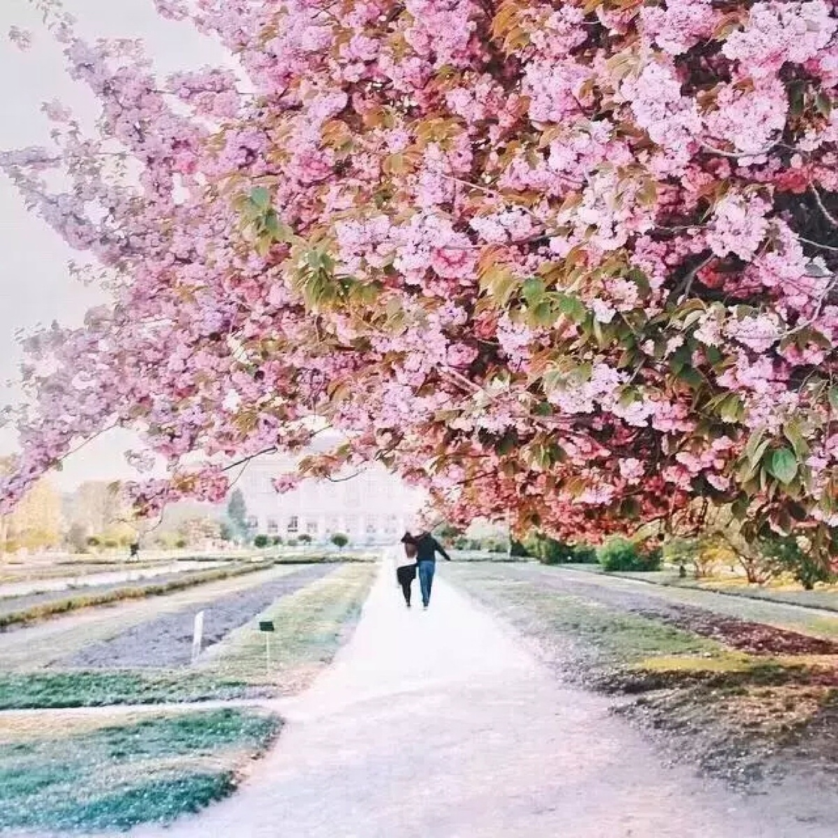 抠图素材背景
