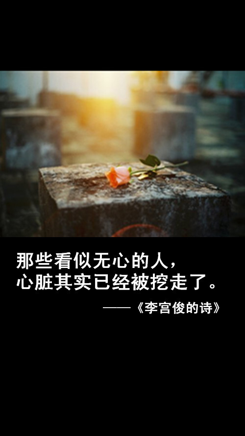 李宫俊的诗文字图片,文字美图,唯美图片,文字控头像,文字控壁纸,手机