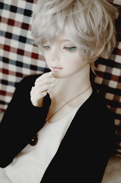 bjd . sd娃娃 人偶 萌物 壁纸 也许你会爱的 收集by:朕真帅啊嘿