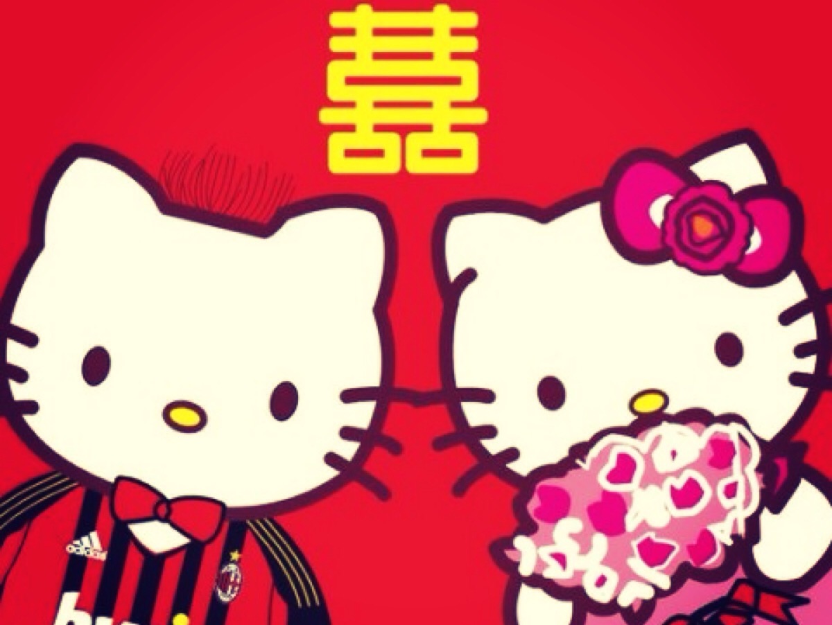 kitty是只胖猫咪