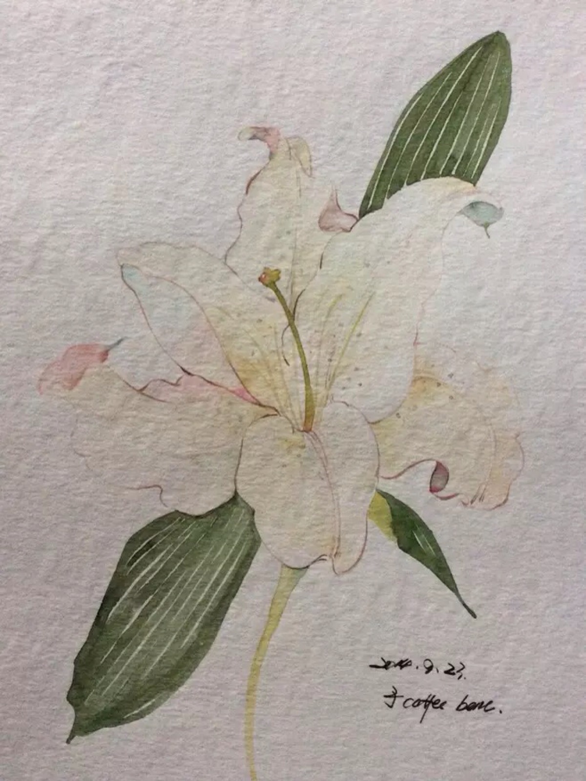 古风 古韵 水彩 花卉 花间 插画 转自网络侵删致歉 【国风雅韵】