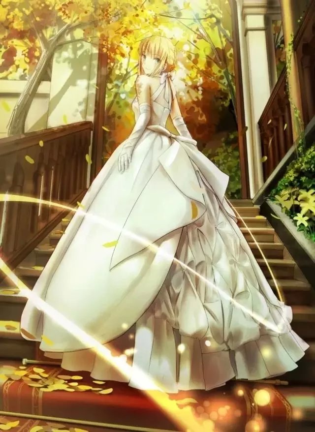 fate zero ,saber婚纱