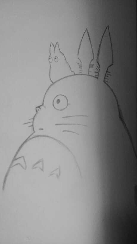龙猫素描画 铅笔画图片