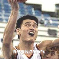 姚明表情包 腿毛出品(04ω04)