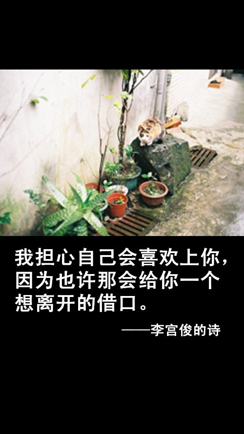 李宫俊的诗文字图片,文字美图,唯美图片,文字控头像,文字控壁纸,手机