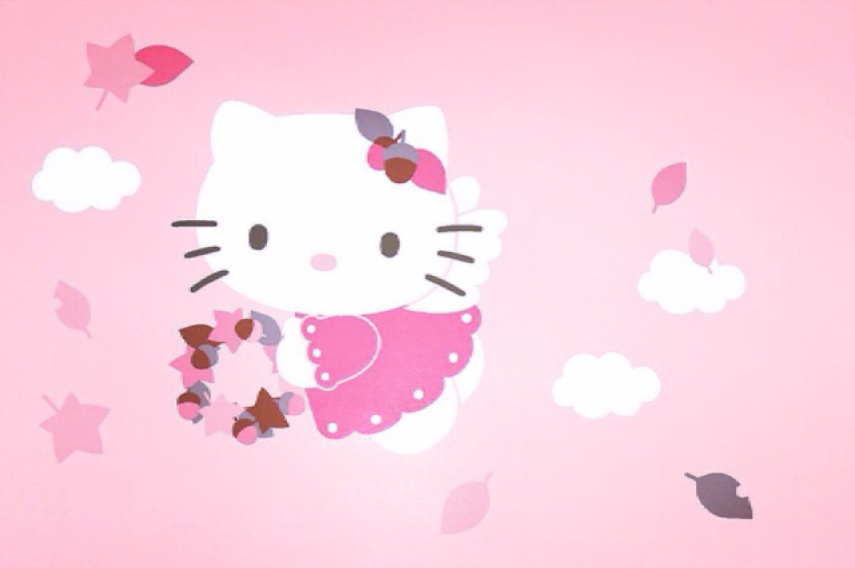 kitty是只胖猫咪