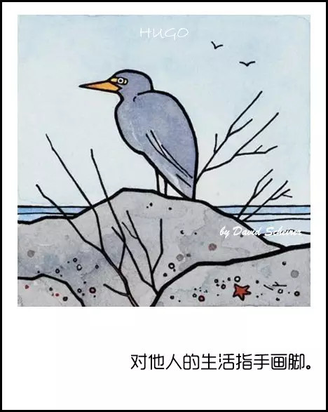 指手画脚拼音图片