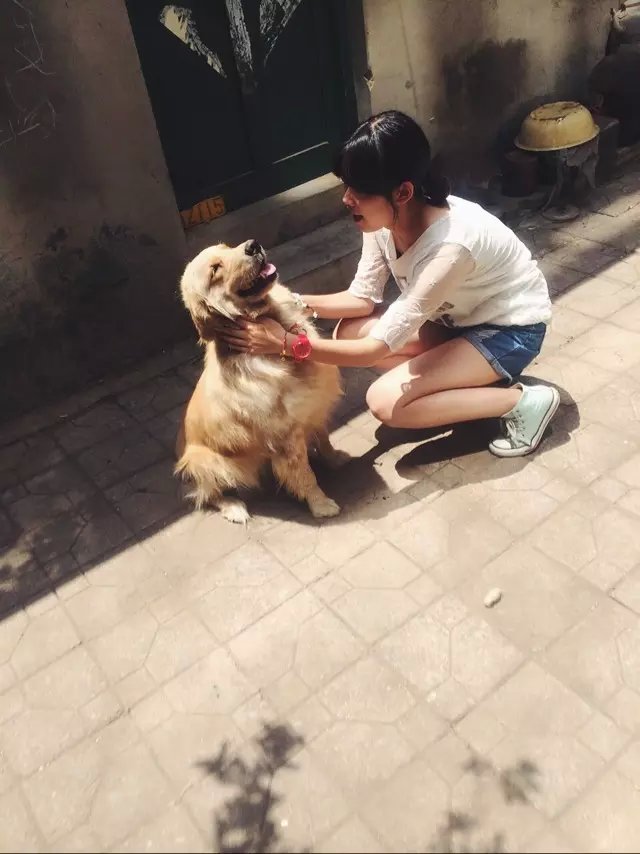 美女与狗.