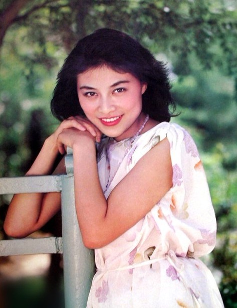 作品有《女刺客》 《本命年》 《面目全非》《英雄无泪》等.