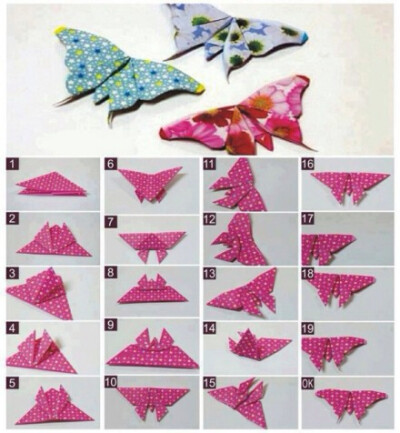 纸蝴蝶折法图解图片