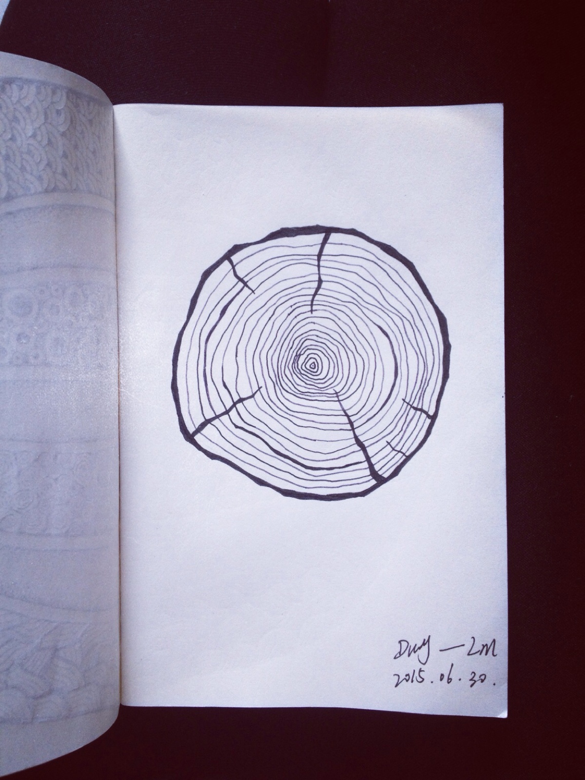 树木年轮素描图片