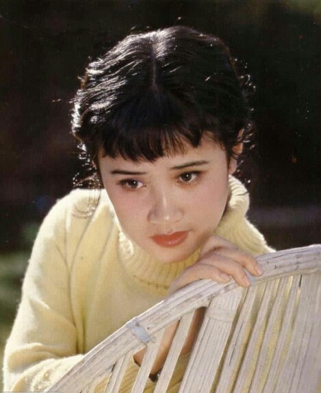 张小磊,1957年出生在浙江宁波,内地演员,毕业于上海戏剧学院表演系.