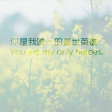 你是我的唯一,英文,文字,liaojing卡诺