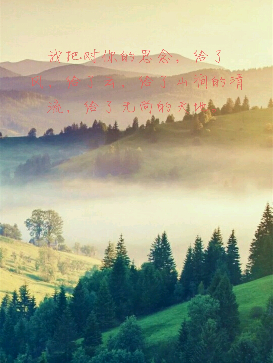 语录,文字,励志,情感,文字壁纸,壁纸,插图,风景,原创设计,手写