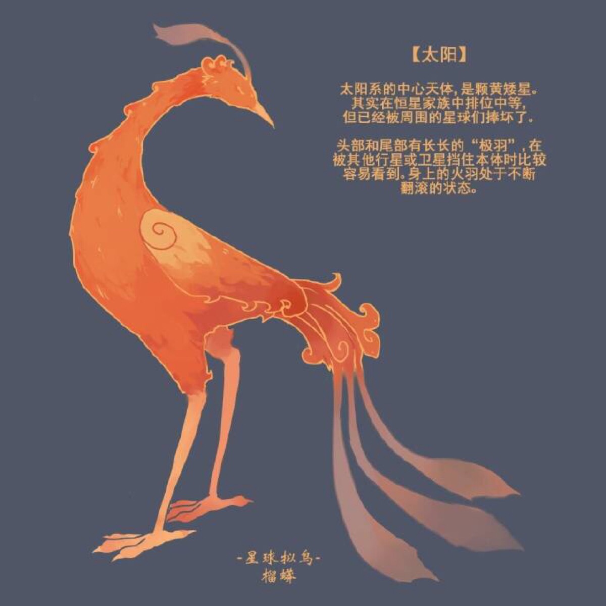 星球拟鸟 太阳 @榴蟒
