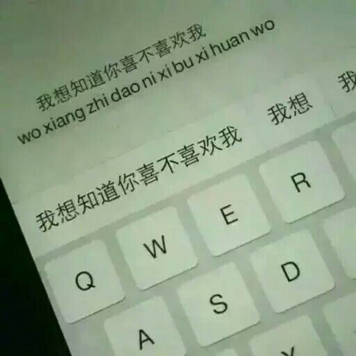 打字皮肤主题微信图片