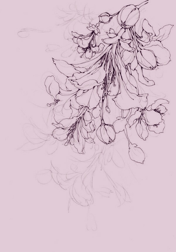 貌似是伊吹五月的手稿?