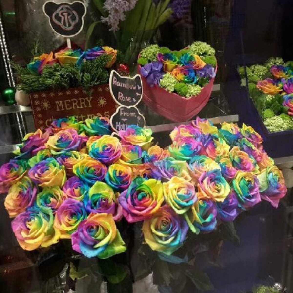 彩虹色的玫瑰花