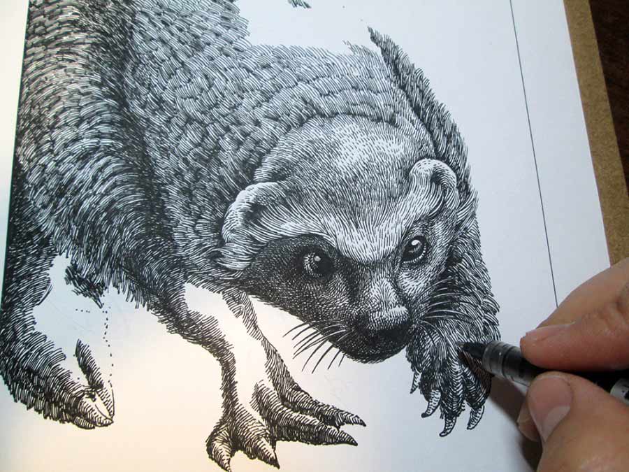 傅淳强硬笔画笔记本系列笔记本之蜜獾,创作过程图