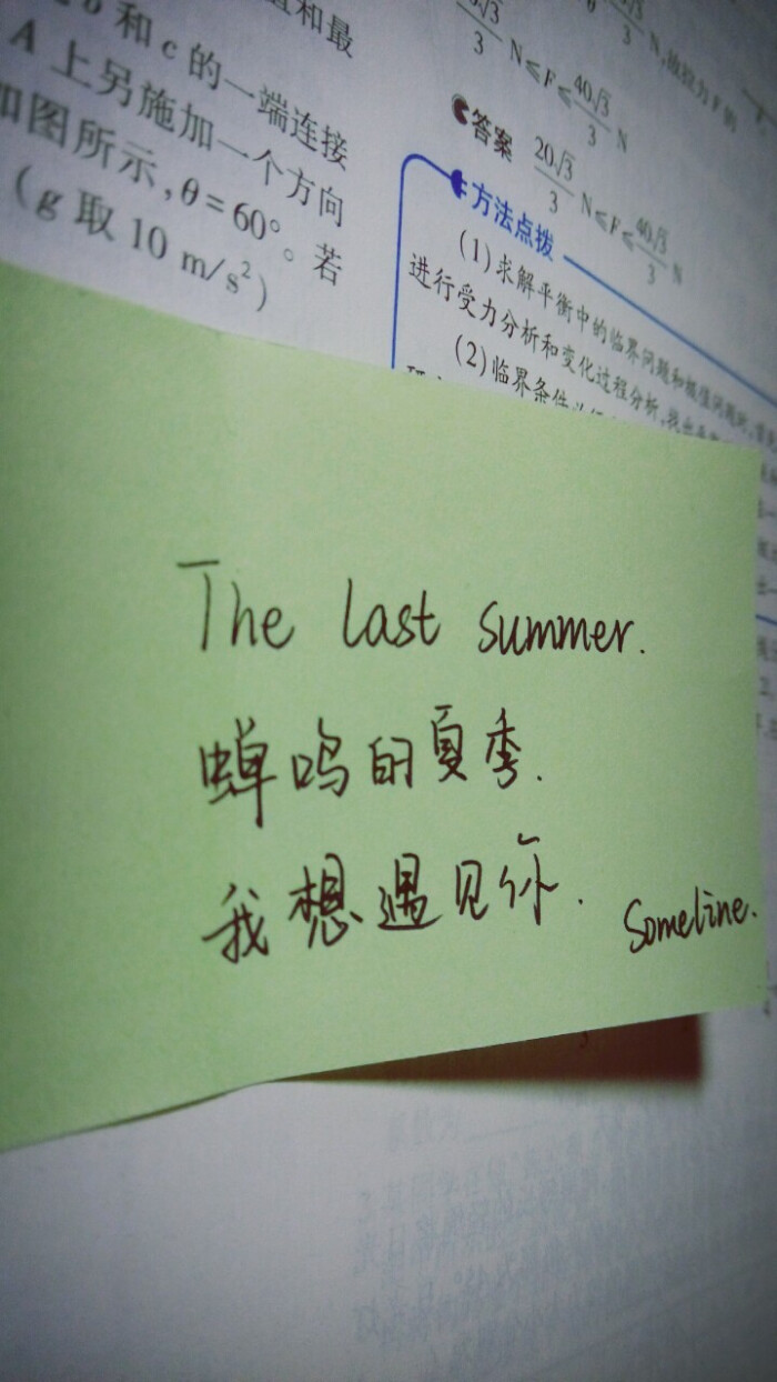 蝉鸣的夏季,我想遇见你