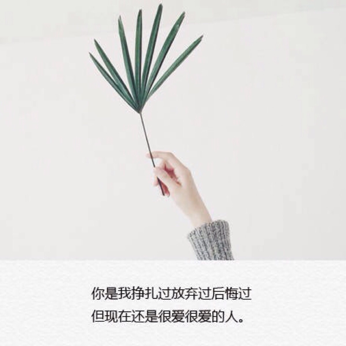 你是我挣扎过放弃过后悔过但现在还是很爱很爱的人